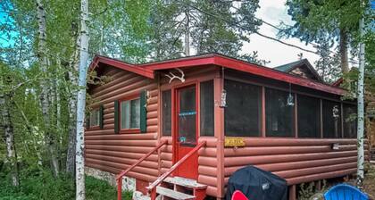 Updated cabin with a screened patio, washer/dryer, & fireplace