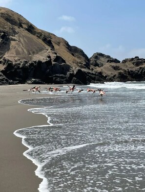 Billede uden beskrivelse, 5 af 20, knap