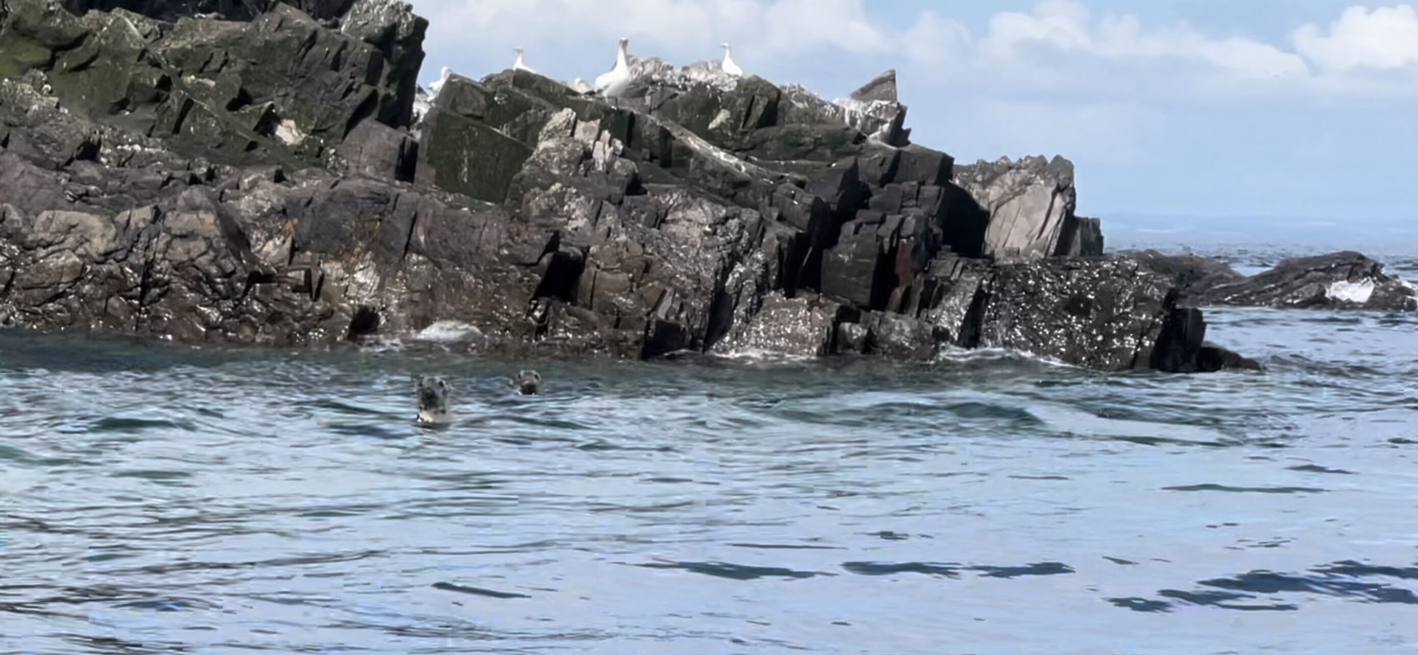 A rocky coastline with waves crashing against the rocks.