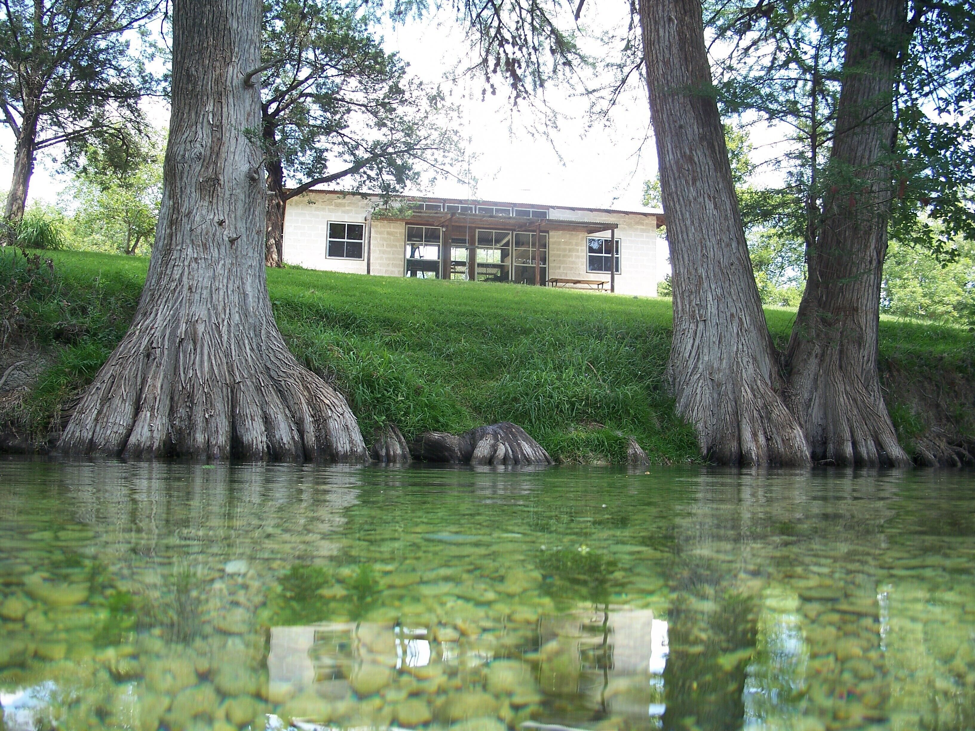 A house with a stone facade, surrounded by trees and a grassy area.
