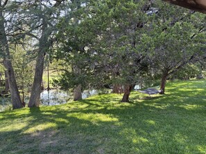 Property grounds - Modern Rustic Cabin on the Sabinal River. Close to Garner and Lost Maples! (Utopia)