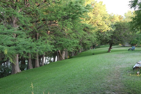Property grounds - Modern Rustic Cabin on the Sabinal River. Close to Garner and Lost Maples! (Utopia)
