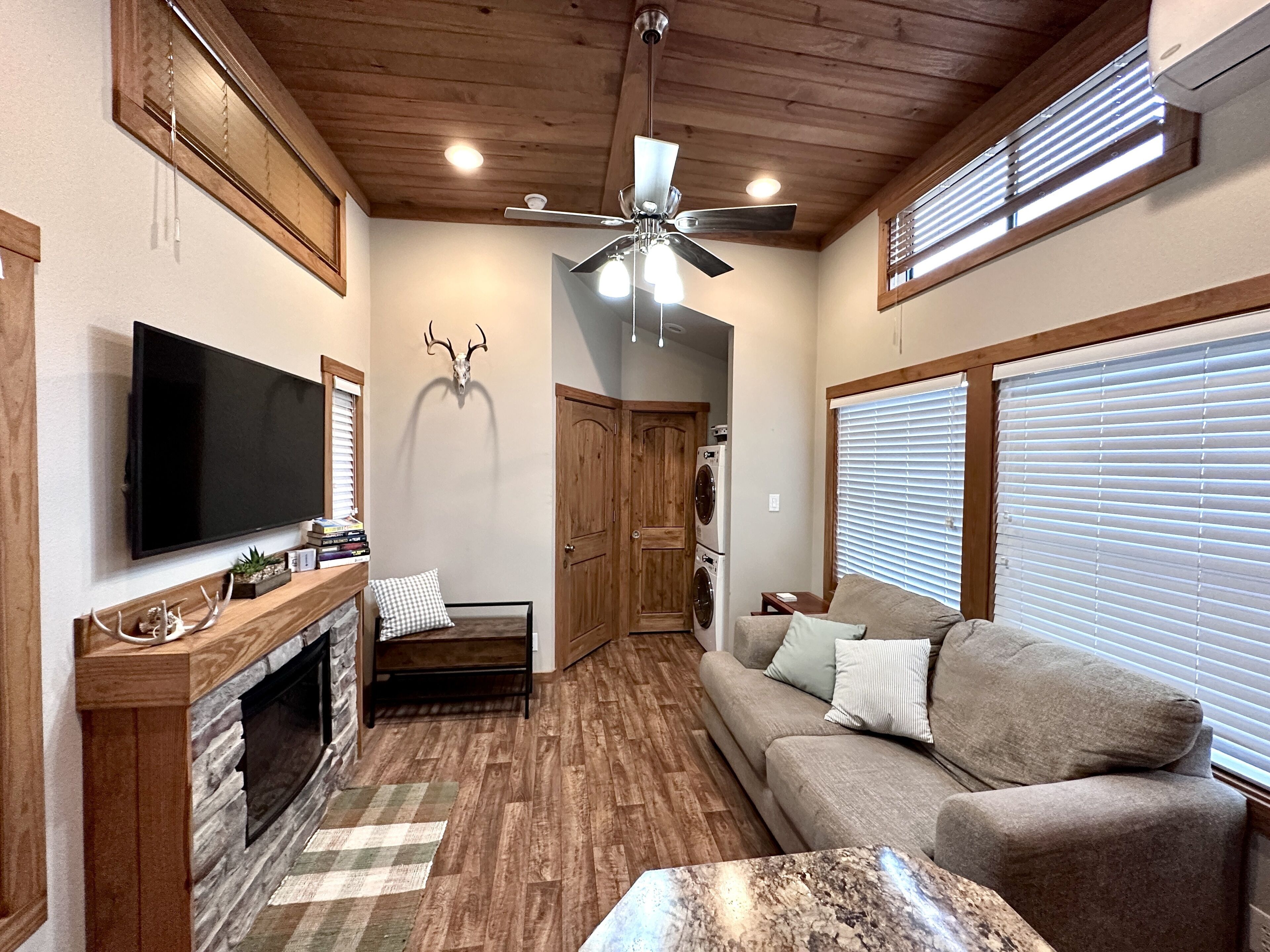 Smart TV, fireplace, books