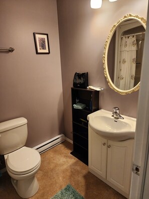 Shower, towels, toilet paper