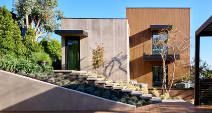 Hollyridge Mountain Dream