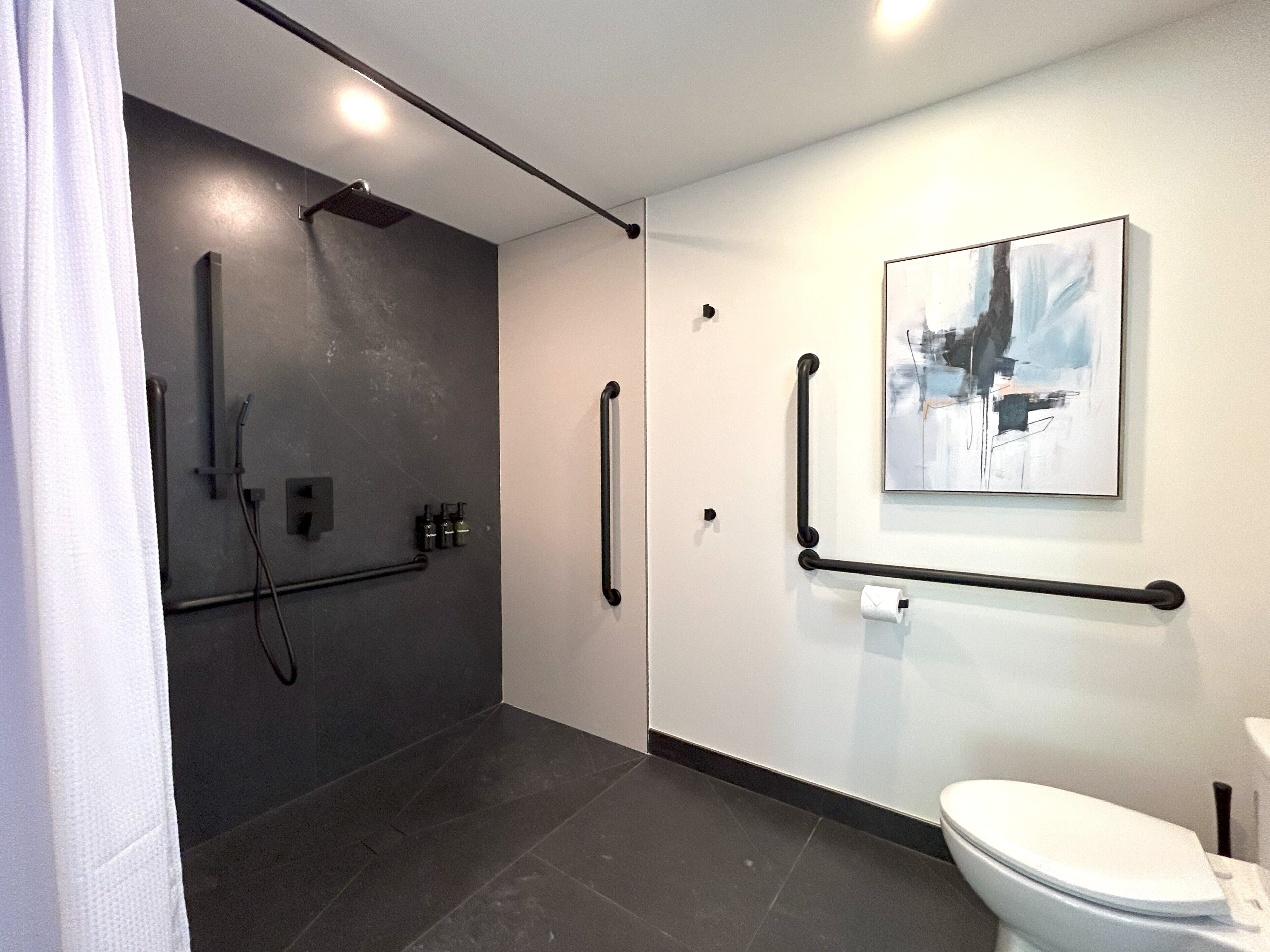 Ein modernes Badezimmer mit Dusche, Toilette und Handläufen.