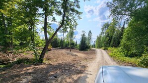 Un chemin de terre bordé d’arbres et un véhicule blanc.