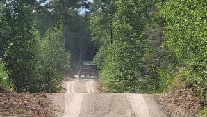 Un chemin de terre bordé d’une végétation luxuriante, qui mène à un véhicule.