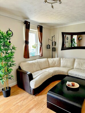 Älytelevisio, takka, tietokoneen näyttö