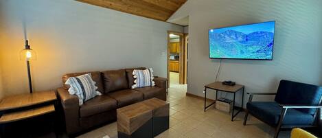 Smart TV, DVD player, books, video library