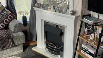 TV, fireplace