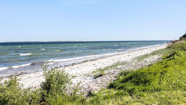 Ein Strand mit blauem Himmel, ruhigem Wasser und einer Rasenfläche mit Büschen.