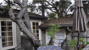 A covered patio area with a table and chairs, a potted plant, and a large tree. - Charming Cottage in Carmel-by-the-Sea. Blocks from downtown and the beach! (Carmel-by-the-Sea)