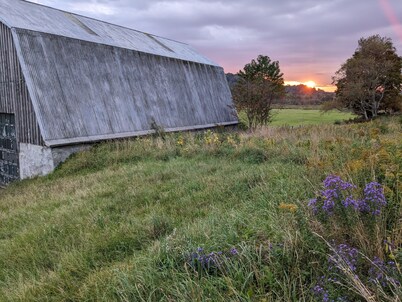  Private tent camping along the Salmon River on 165-acre Farm.