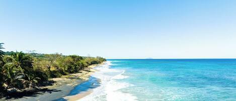 Sun loungers, beach towels