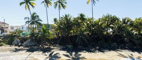 Sun-loungers, beach towels