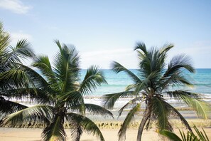 Camastros y toallas de playa 