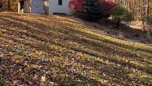 A single-story house with a garage, surrounded by autumn foliage.