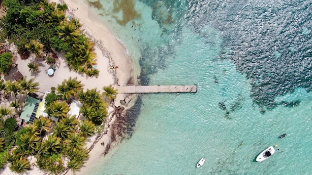 An aerial view of a beach with a dock extending into turquoise waters, surrounded by palm trees and a small building.