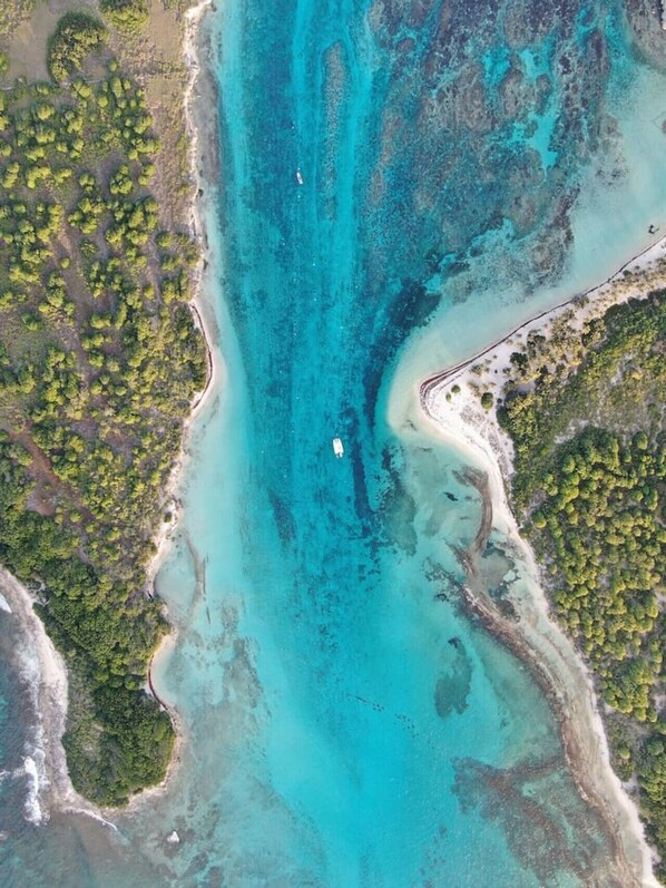 Unclassified image, 1 of 33, button