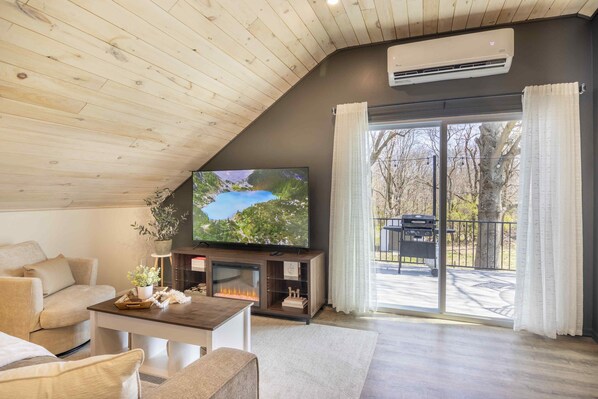 Smart TV, fireplace, books