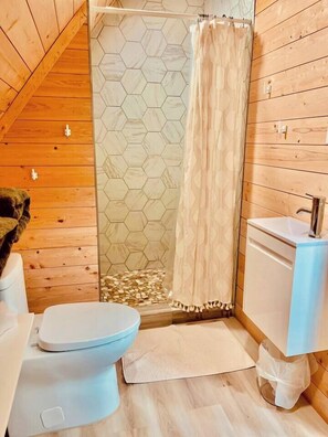 Shower, hair dryer, towels