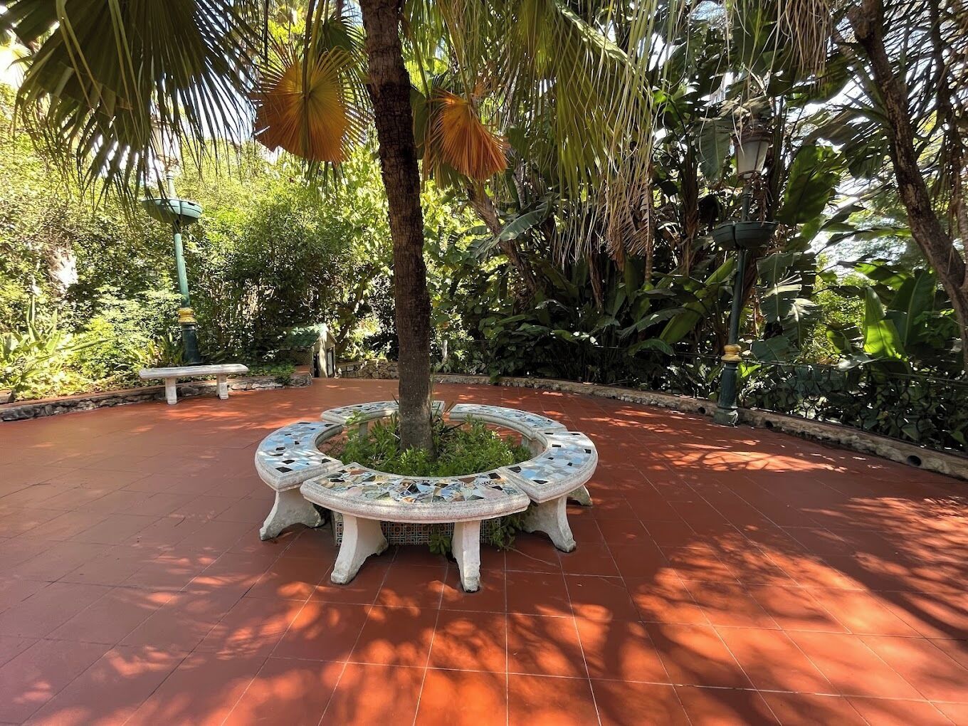 حديقة