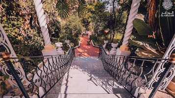 Jardín