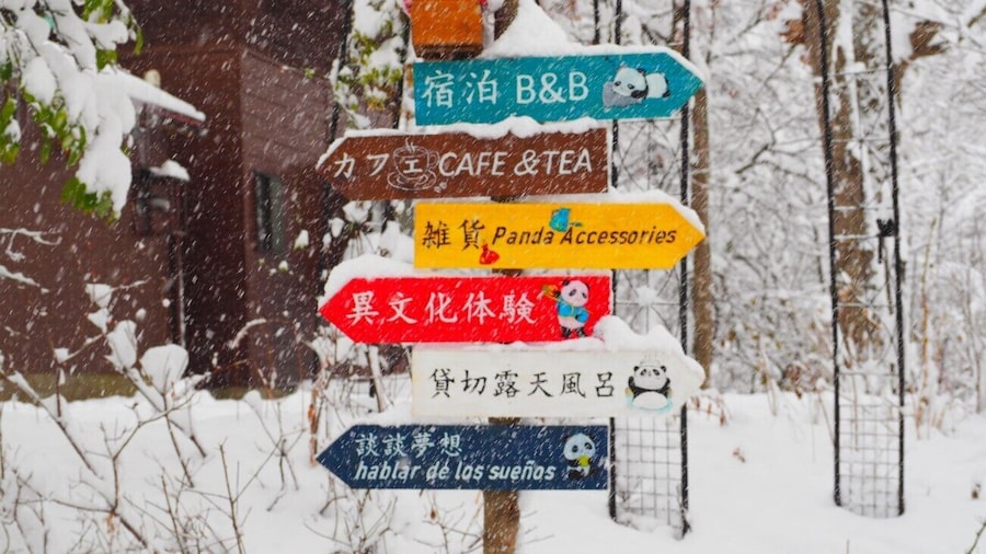 Pension Snowfall Meteor