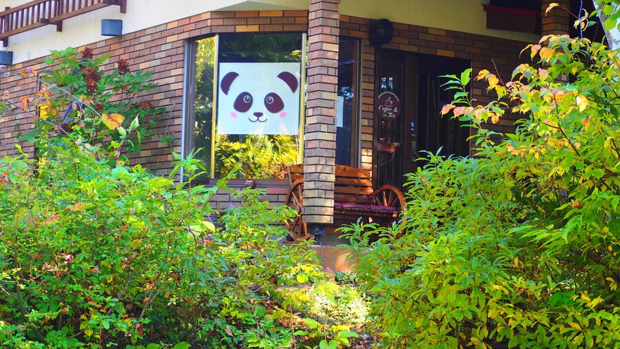 Pension Snowfall Meteor