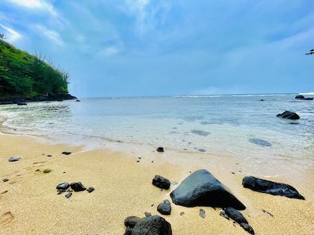 Sun-loungers, beach towels. TOTALLY REMODELED Tropical Paradise Studio with A/C & washer/dryer