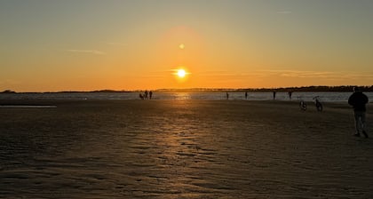 ULTIMATE BEACH AND GOLF COURSE HAVEN ON SECLUDED EDISTO IN THE WYNDHAM RESORT