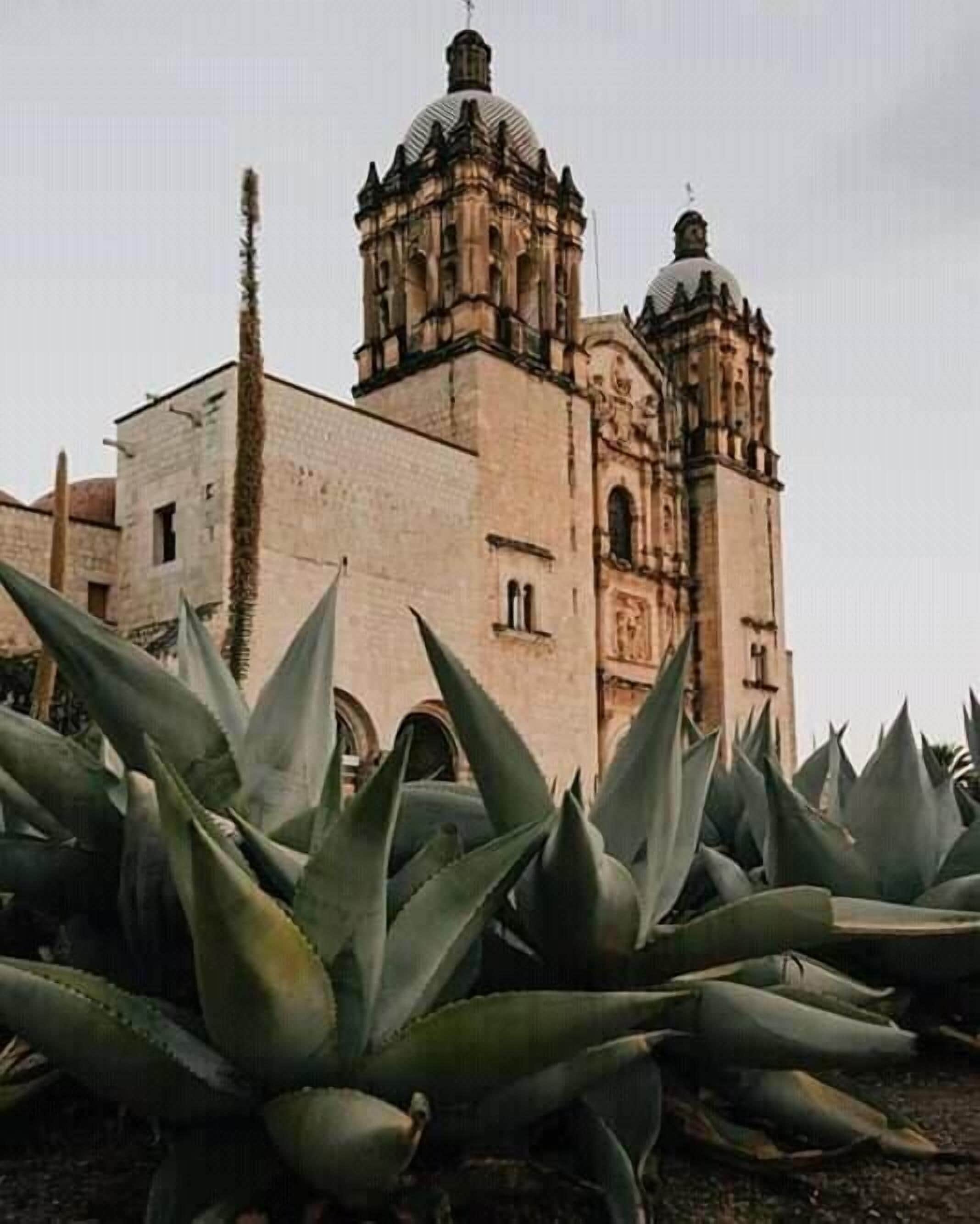 Photo - Hotel Escalada