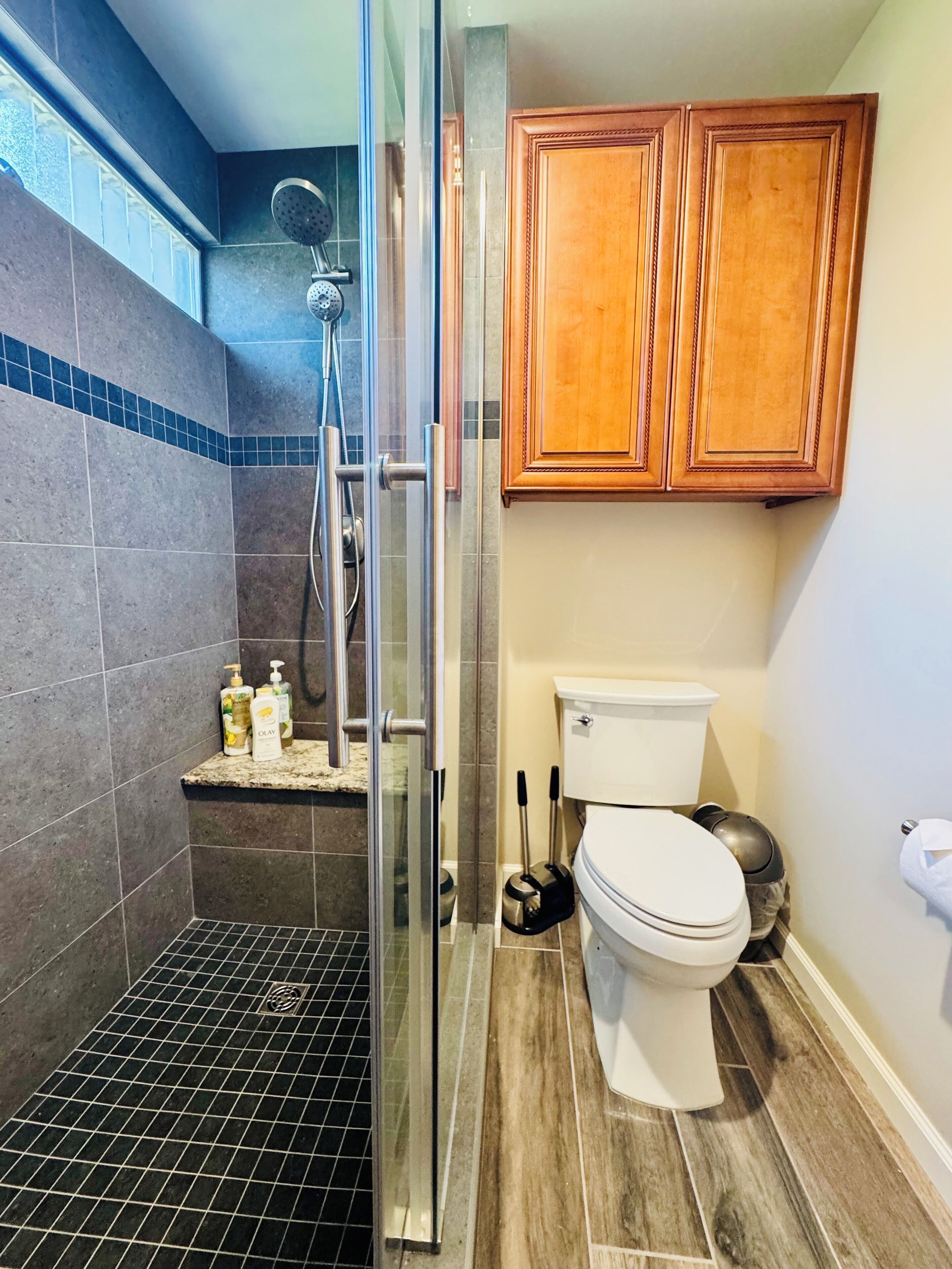 Hair dryer, towels, soap, shampoo