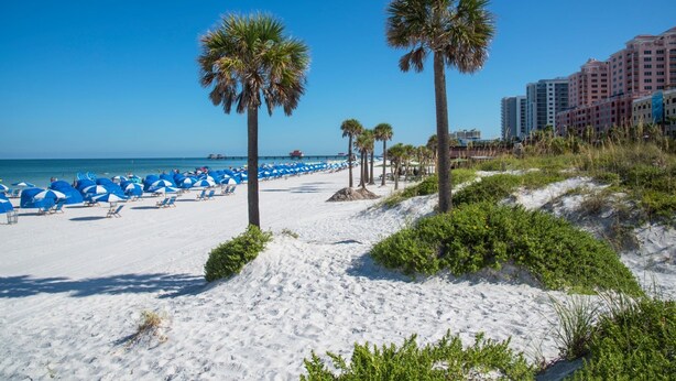Ein Strand mit weißem Sand, Palmen und blauen Sonnenschirmen.