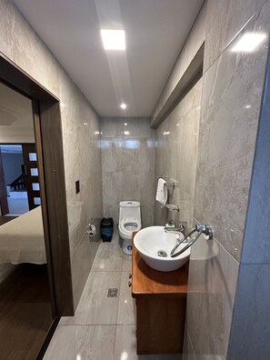 Douche, baignoire Ă jets, sĂšche-cheveux, bidet