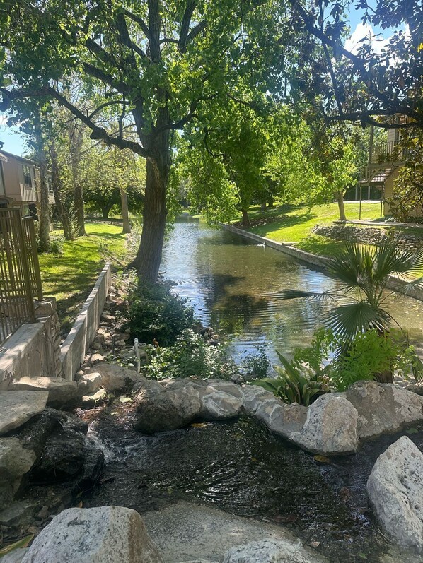 Property grounds - Charming, comfy apartment Mirror House. Feel at home for staying at San Antonio (San Antonio)