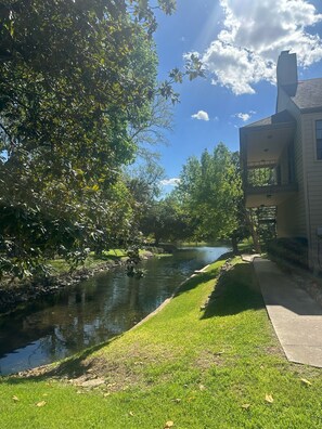 Property grounds - Charming, comfy apartment Mirror House. Feel at home for staying at San Antonio  (San Antonio)