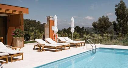 Villa located in "Douro Verde" with outdoor pool, 5 minutes from the Douro River