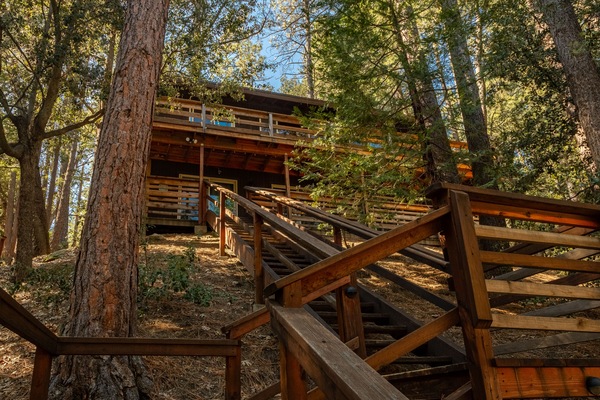 Stairs leading to the treehouse offering added privacy