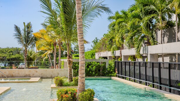 A swimming pool surrounded by palm trees and greenery, with a concrete deck and a metal fence. - Exclusivo Apartamento 2Hab en Cartagena (Cartagena)