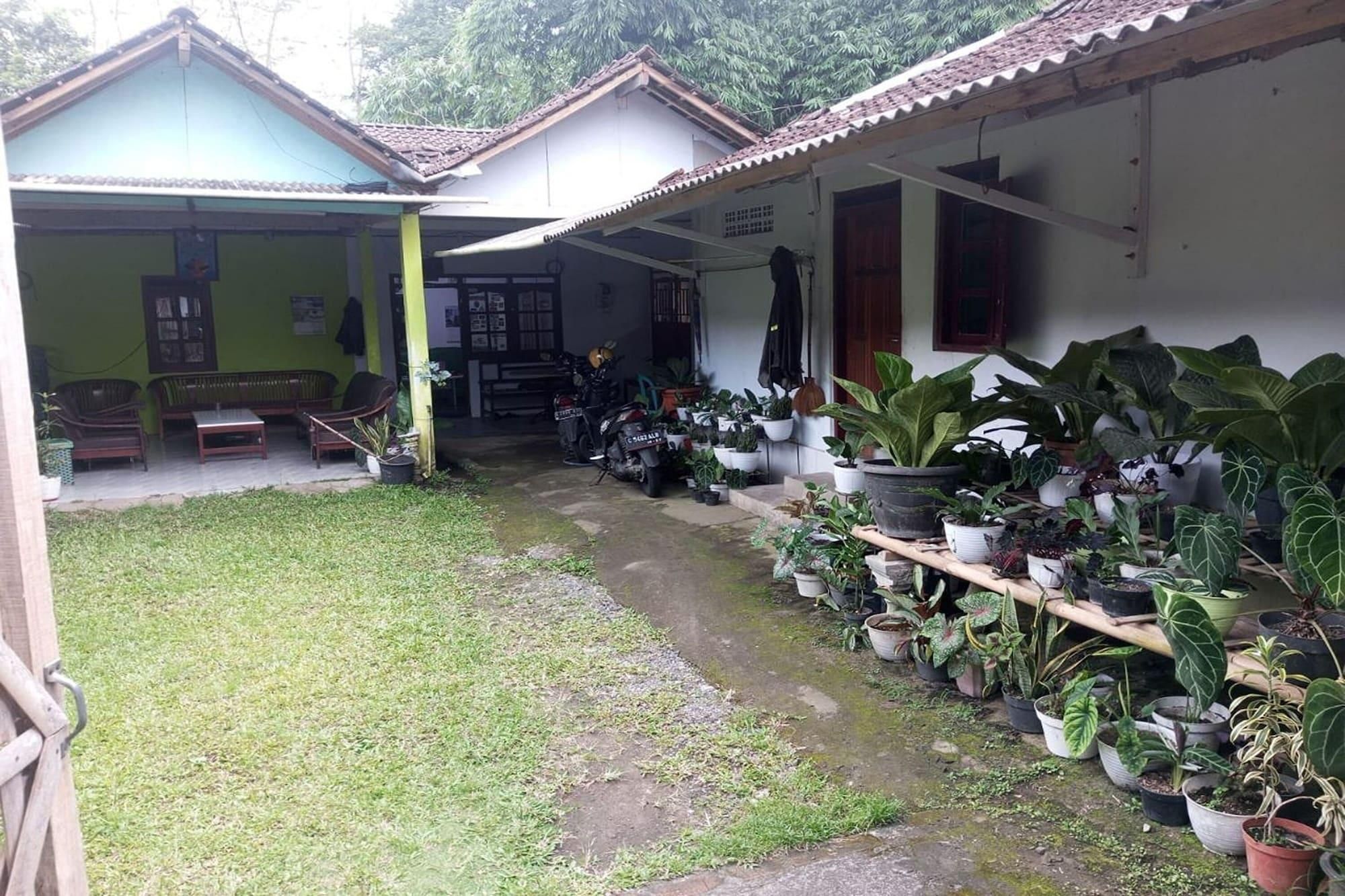 A covered outdoor area with a seating arrangement and a variety of potted plants.