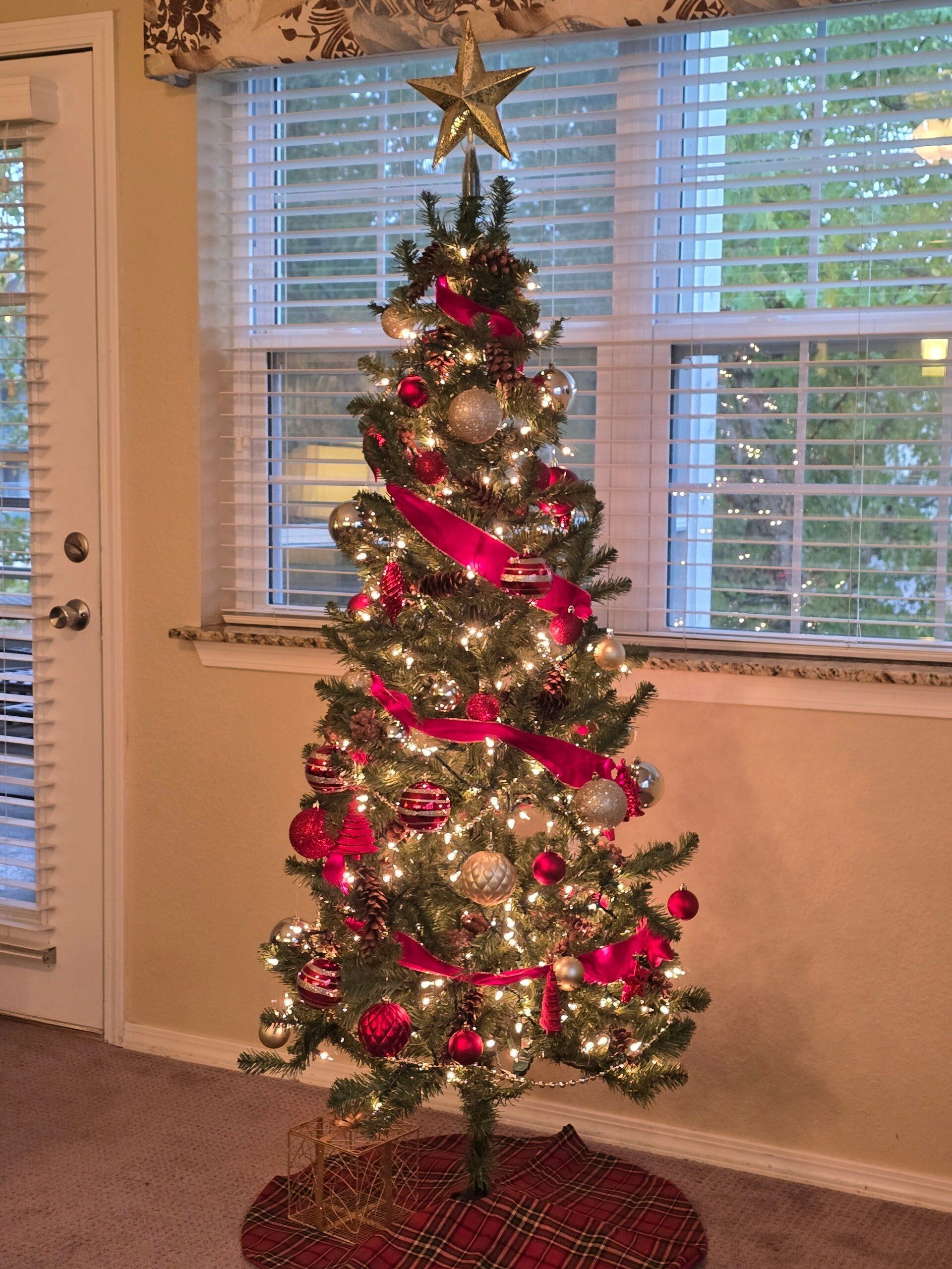 A Christmas tree with lights and ornaments in a room with a window and a door.
