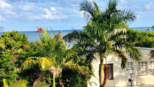 A balcony with lush tropical plants and a view of the ocean. - Gustavo Homes Mombasa (Mombasa)