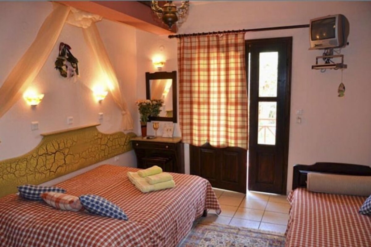 A bedroom with two beds, a large window, a television, and a mirror.