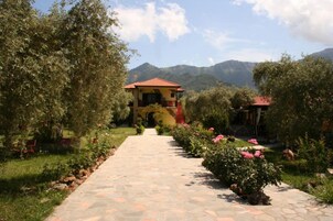 Un sendero que lleva a un edificio rodeado de abundante vegetación y montañas al fondo.