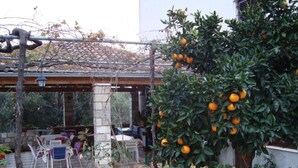 A covered patio area with outdoor seating, a pergola, and a tree bearing fruit.