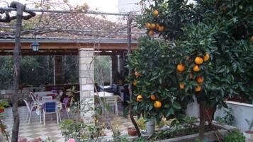 Apartamento (One Bedroom Apartment with Sea View) | Lounge