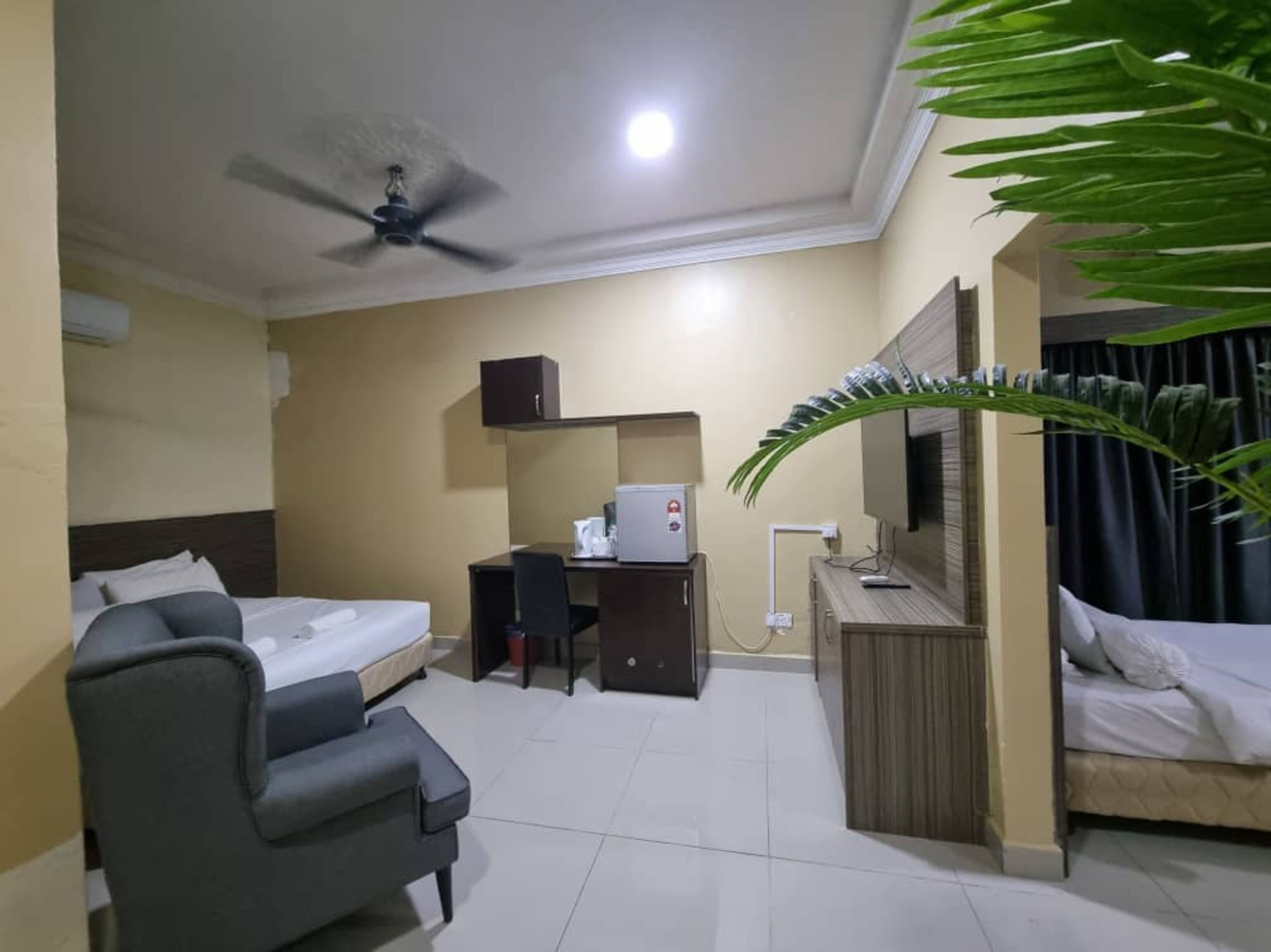 A hotel room with a bed, a desk, a chair, a ceiling fan, a TV, and a plant.