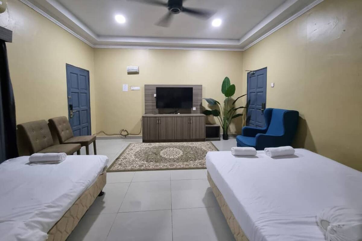 Habitación de hotel con dos camas individuales, televisor, ventilador de techo, una planta grande y un sillón azul.
